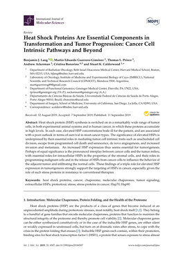 Heat Shock Proteins Are Essential Components in Transformation and Tumor Progression: Cancer Cell Intrinsic Pathways and Beyond