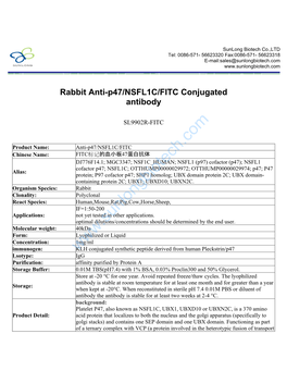 Rabbit Anti-P47/NSFL1C/FITC Conjugated Antibody