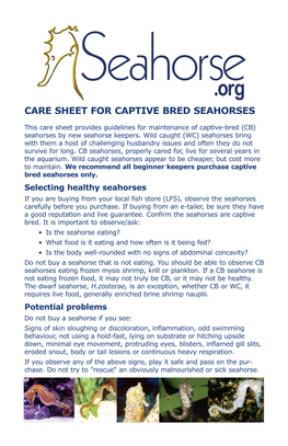 Care Sheet for Captive Bred Seahorses