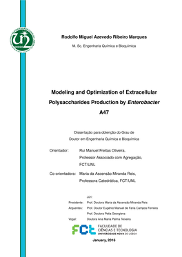 Modeling and Optimization of Extracellular Polysaccharides Production by Enterobacter A47