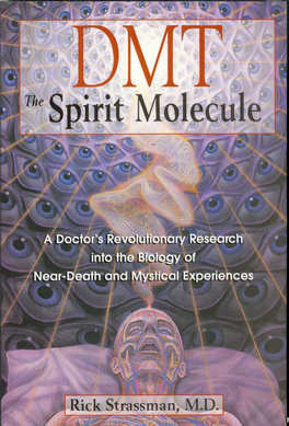 DMT: the Spirit Molecule