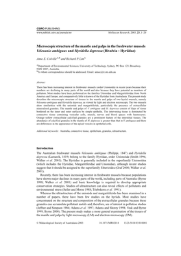 Microscopic Structure of the Mantle and Palps in the Freshwater Mussels Ve L E S U N I O Ambiguus and Hyridella Depressa (Bivalvia : Hyriidae)