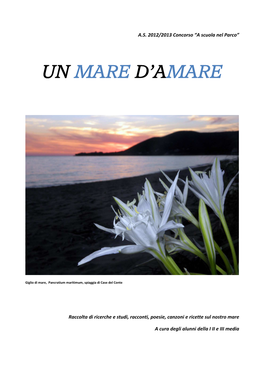 Un Mare D'amare