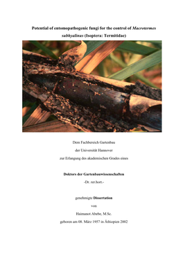 Potential of Entomopathogenic Fungi for the Control of Macrotermes Subhyalinus (Isoptera: Termitidae)