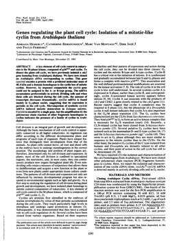 Cyclin from Arabidopsis Thaliana