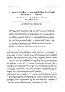 Labidura Riparia (Dermaptera, Labiduridae) from Brazil: Karyotype and C-Banding Rita M