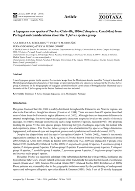 A Hypogean New Species of Trechus Clairville, 1806 (Coleoptera, Carabidae) from Portugal and Considerations About the T