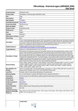 N-Terminal Region (ARP48225 P050) Data Sheet