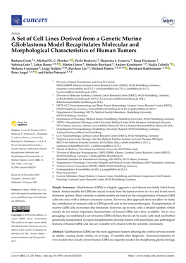 A Set of Cell Lines Derived from a Genetic Murine Glioblastoma Model Recapitulates Molecular and Morphological Characteristics of Human Tumors