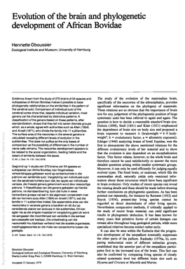 Evolution of the Brain and Phylogenetic Development of Mrican Bovidae