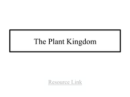 Plants Are Vascular Or Nonvascular