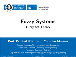 Fuzzy Set Theory