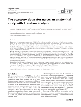 The Accessory Obturator Nerve: an Anatomical Study with Literature Analysis