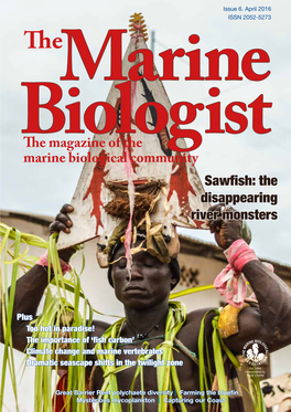 The Magazine of the Marine Biological Community Sawfish: the Disappearing River Monsters