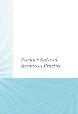 Premier Natural Resources Practice