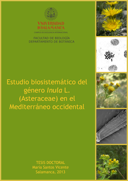 Asteraceae) En El Mediterráneo Occidental
