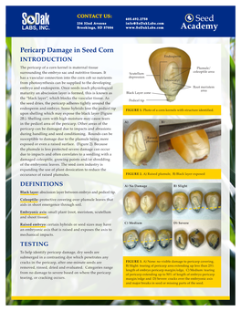 Pericarp Damage in Seed Corn