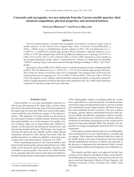 Carraraite and Zaccagnaite, Two New Minerals from the Carrara Marble Quarries: Their Chemical Compositions, Physical Properties, and Structural Features