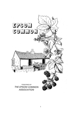 Epsom Common (003).Pdf