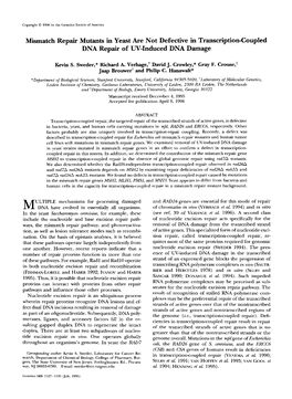 Mismatch Repair Mutants in Yeast Are Not Defective in Transcription-Coupled DNA Repair of UV-Induced DNA Damage