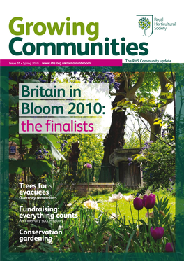 Britain in Bloom 2010: the Finalists