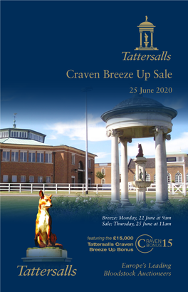Craven Breeze up Sale 2020