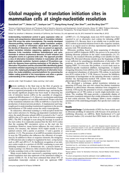 Global Mapping of Translation Initiation Sites in Mammalian Cells at Single