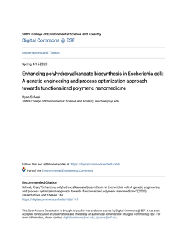Enhancing Polyhydroxyalkanoate Biosynthesis in Escherichia Coli