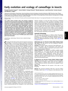 Early Evolution and Ecology of Camouflage in Insects