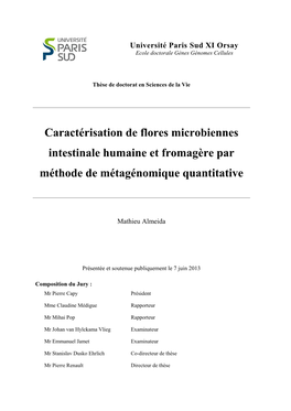 Caractérisation De Flores Microbiennes… 2013