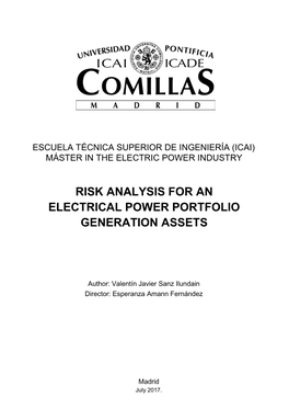 Risk Analysis for an Electrical Power Portfolio Generation Assets