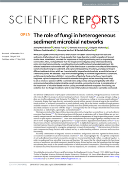 The Role of Fungi in Heterogeneous Sediment Microbial Networks