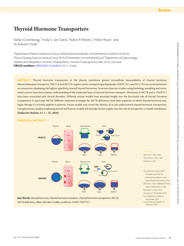 Thyroid Hormone Transporters