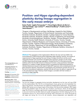 And Hippo Signaling-Dependent Plasticity During Lineage