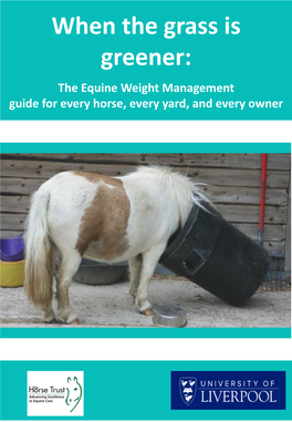 Equine Weight Management Guide for Every Horse, Every Yard, and Every Owner Equine Weight Management