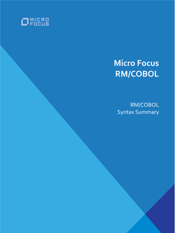 RM/COBOL Syntax Summary