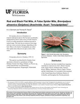 Red and Black Flat Mite, a False Spider Mite, Brevipalpus Phoenics (Geijskes) (Arachnida: Acari: Tenuipalpidae)1