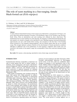 The Role of Scent Marking in a Free-Ranging, Female Black-Footed Cat (Felis Nigripes)