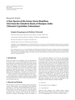 A New Species of the Genus Garra Hamilton, 1822 from the Chindwin Basin of Manipur, India (Teleostei: Cyprinidae: Labeoninae)