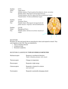 A&P Spinal PNS C