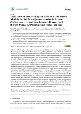 Validation of Francis–Kaplan Turbine Blade Strike