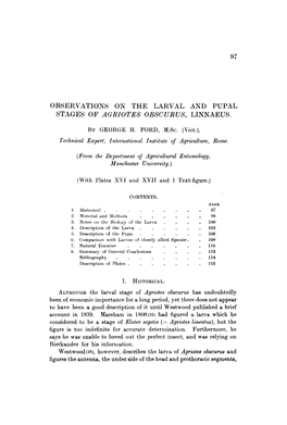 Observations on the Larval and Pupal Stages of Agriotes Obscurus, Linnaeus