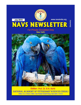 NAVS Newsletter, July, 2019