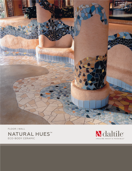 NATURAL HUES™ ECO-BODY CERAMIC Cover Photo Features a Mosaic Mural Using Natural Hues™ Glazed Tiles, Smooth and Abrasive