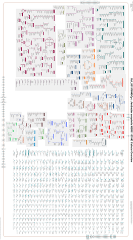 Generated by SRI International Pathway Tools Version 25.0, Authors S