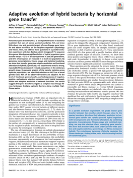 Adaptive Evolution of Hybrid Bacteria by Horizontal Gene Transfer