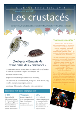 Quelques Éléments De Taxonomie Des « Crustacés »