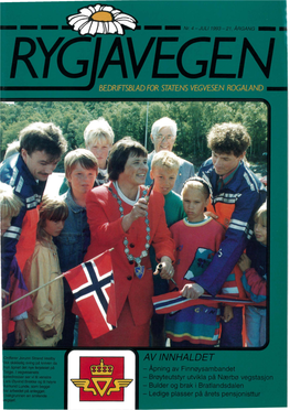 Rygjavegen 1993 (4)