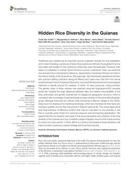 Hidden Rice Diversity in the Guianas
