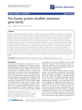 The Human Protein Disulfide Isomerase Gene Family James J Galligan1 and Dennis R Petersen2*